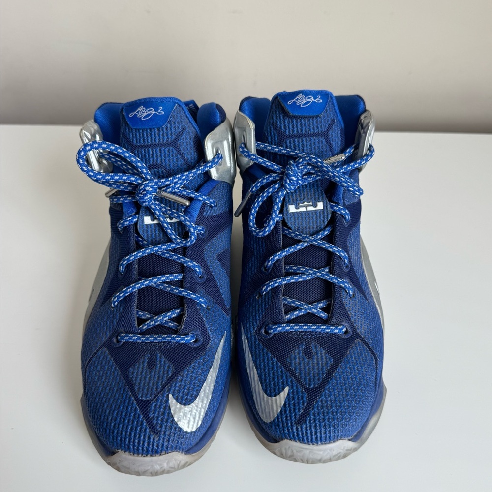 Nike Youth LeBron 12 "What If?" Sneakers